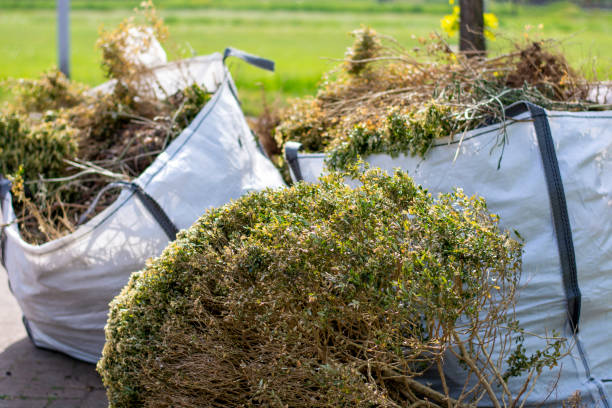 Best Attic Cleanout Services  in Buckhall, VA
